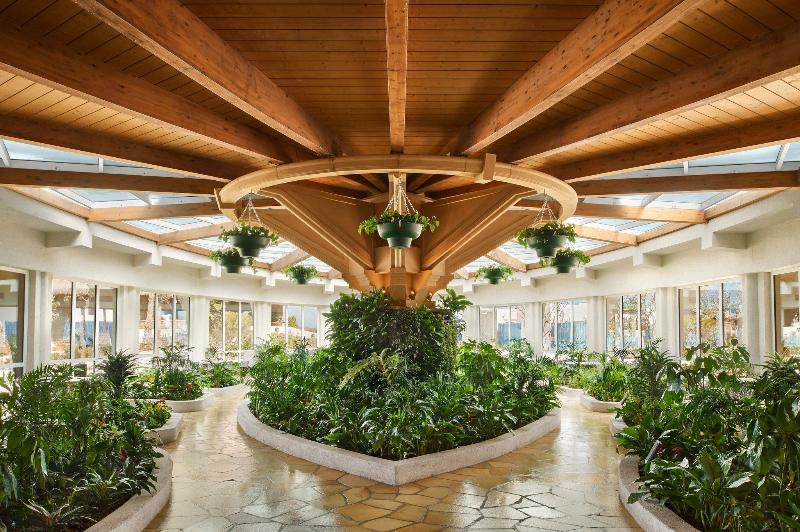 Banana Island Resort Doha by Anantara - Genel