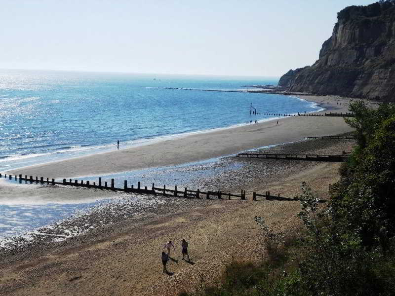 Luccombe Manor Country House Hotel fotoÄŸrafÄ±