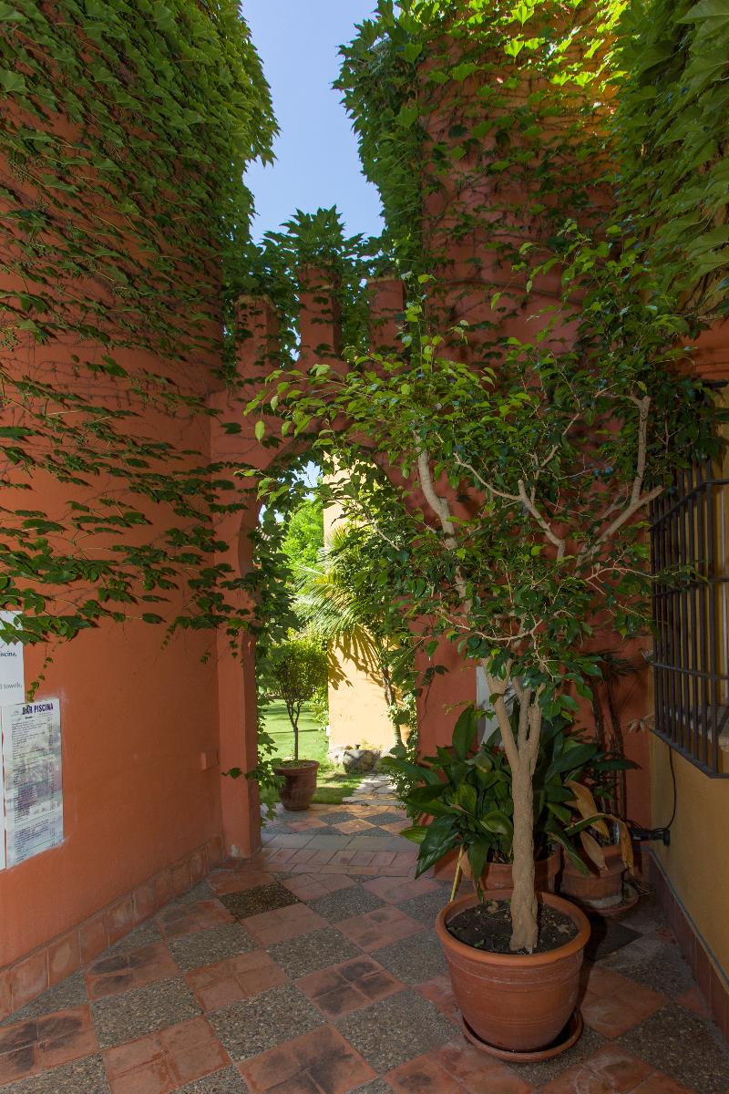 Apartamentos SB Vistahermosa - Oda
