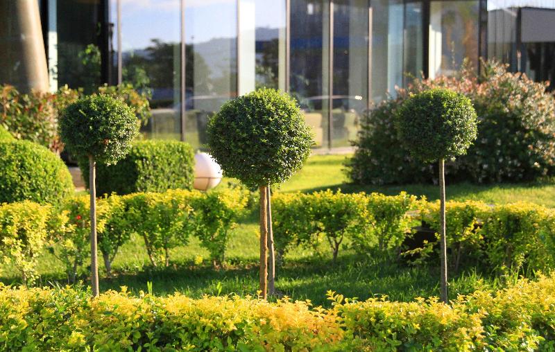 Best Western Premier Ark Hotel - Genel