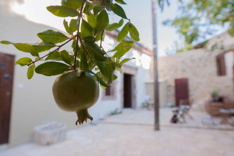 Oinoessa Traditional Boutique Houses - Genel