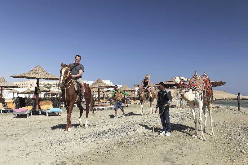 The Three Corners Equinox Beach Resort fotoÄŸrafÄ±