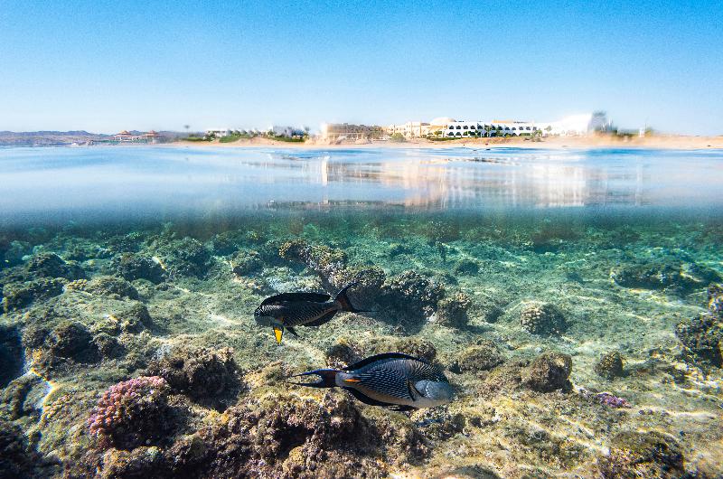 The Three Corners Equinox Beach Resort - Plaj