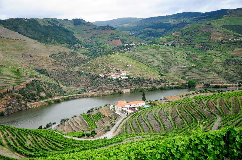 Hotel Rural Quinta Do Pego fotoÄŸrafÄ±