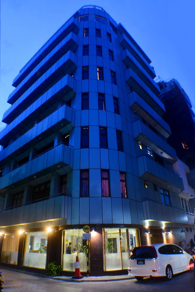 The Beehive - Genel