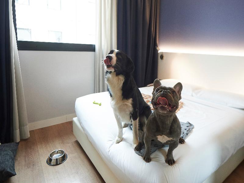 Neo Hotel - Genel