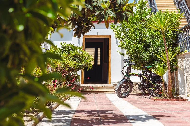 Ampelia Hotel Kassandra - Aktivite