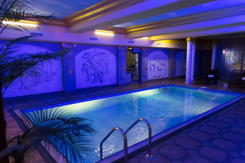 Cron Palace Hotel Tbilisi - Havuz