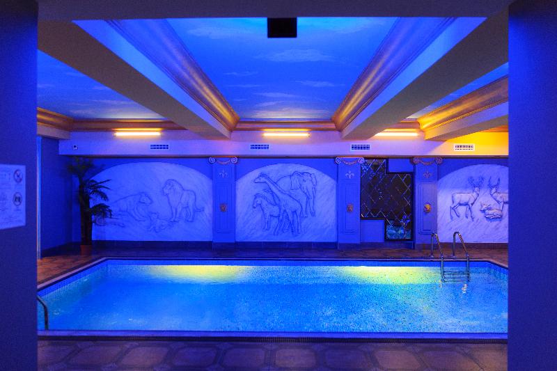 Cron Palace Hotel Tbilisi - Havuz