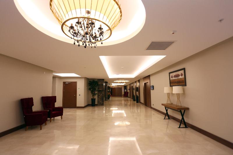 Holiday Inn ANKARA - ÇUKURAMBAR by IHG - Toplantı