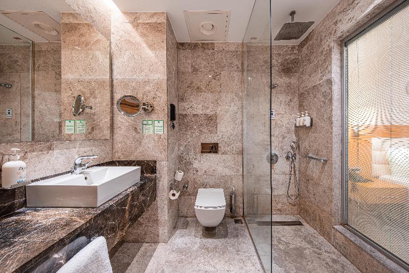 Holiday Inn ANKARA - ÇUKURAMBAR by IHG - Oda