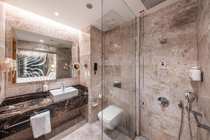 Holiday Inn ANKARA - ÇUKURAMBAR by IHG - Oda