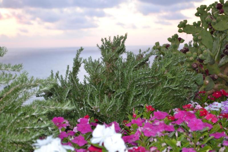 Perla del Golfo Hotel & Resort - Genel