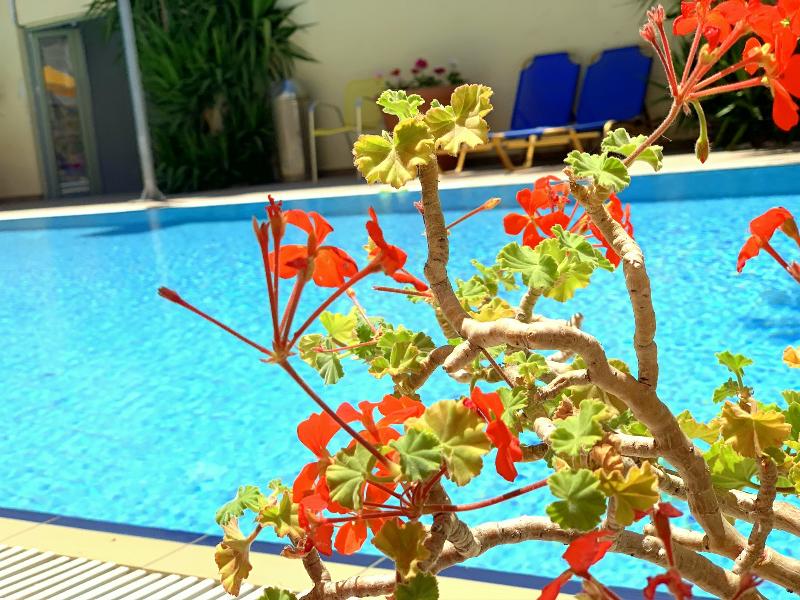Kassavetis Center-Hotel Studios & Apartments - Havuz