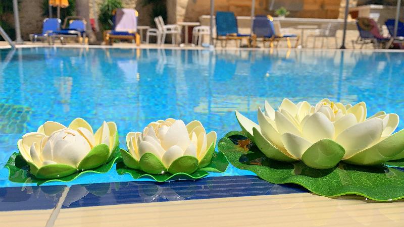 Kassavetis Center-Hotel Studios & Apartments - Havuz