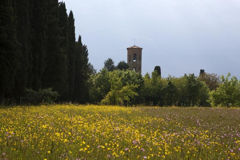Agriturismo La Topaia - Genel