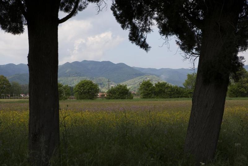 Agriturismo La Topaia - Genel