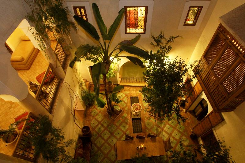 Riad El Youssoufi - Genel