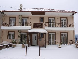 Xenonas Drimos otel fotoğrafı