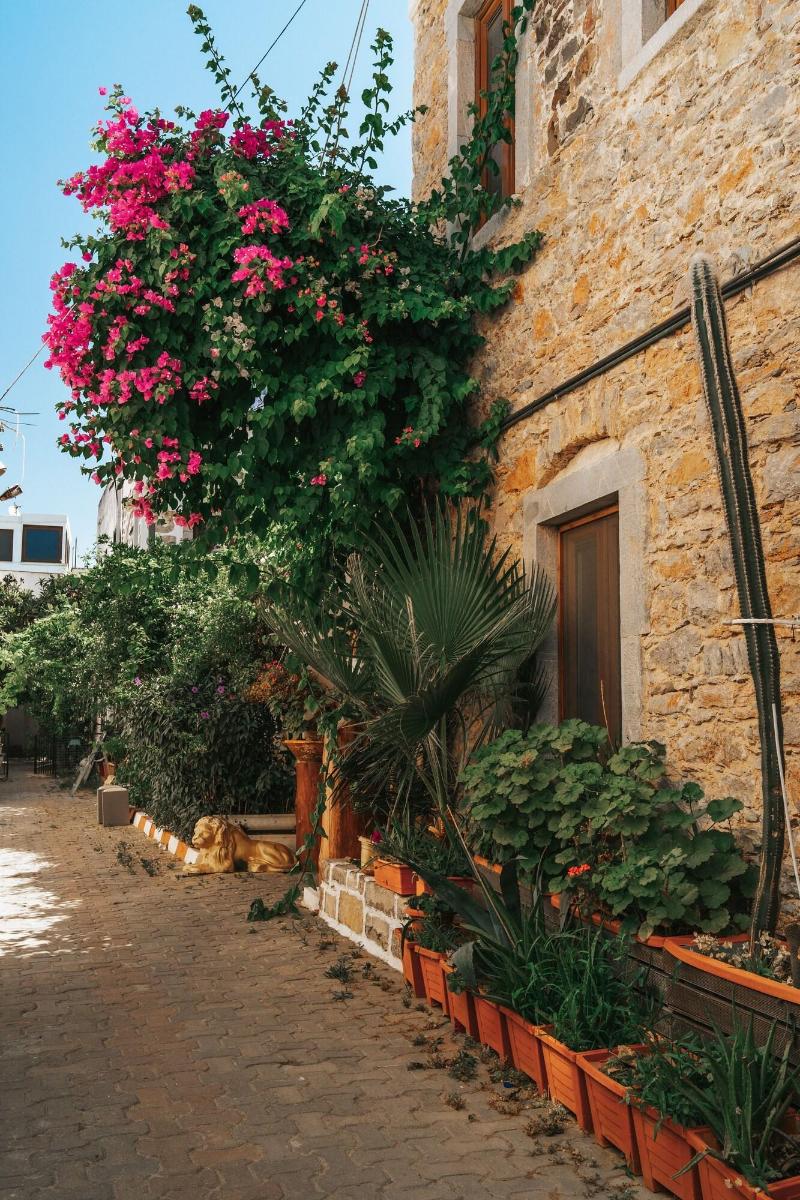 Akkan Luxury Hotel - Genel
