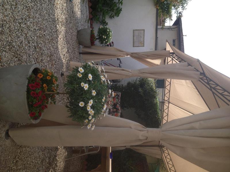 B & B La Mimosa - Genel