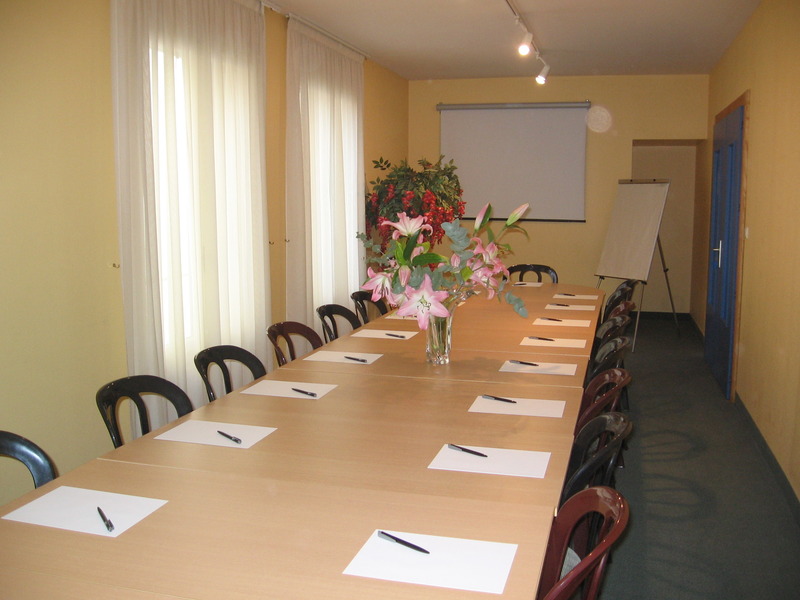 The Originals Boutique Hôtel Alizé Évian-les-Bains - Toplantı