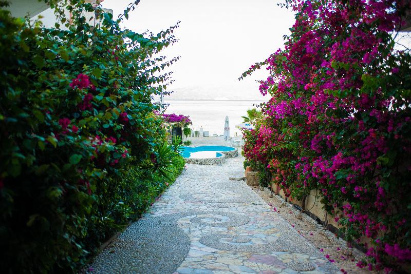 Bougainville Bay Hotel - Genel