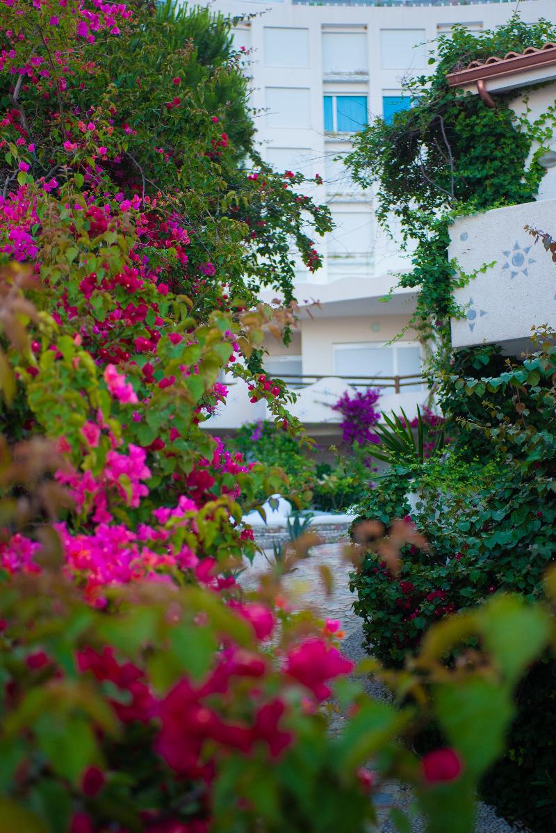 Bougainville Bay Hotel - Genel