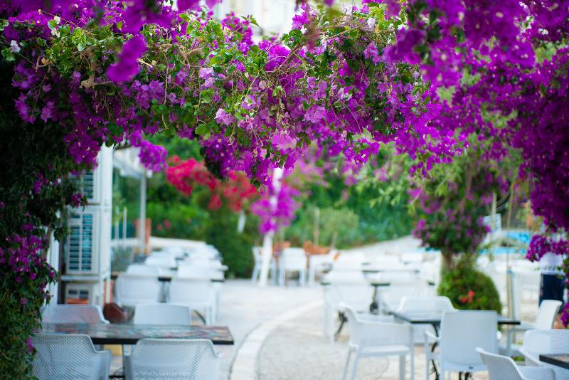Bougainville Bay Hotel - Genel