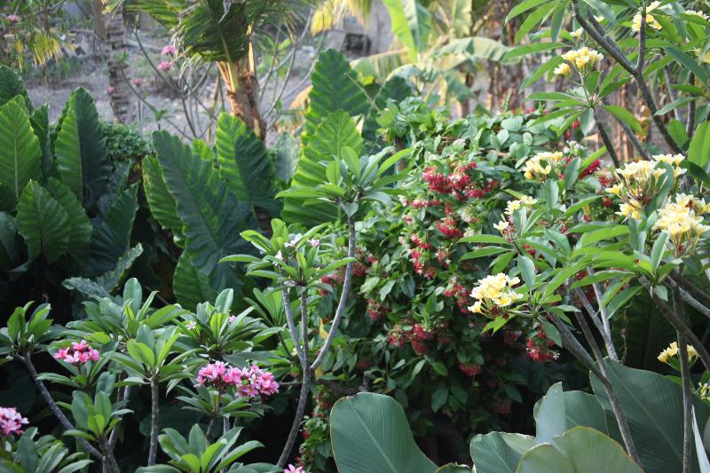 Ubud Wana Resort - Oda
