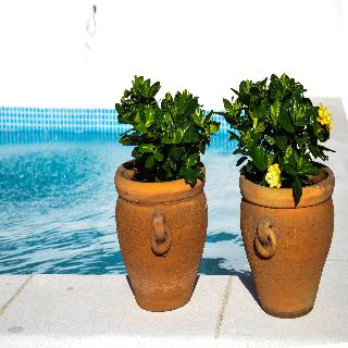 Aguilas5 SevillaSuites fotoÄŸrafÄ±