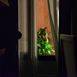 Aguilas5 SevillaSuites fotoÄŸrafÄ±