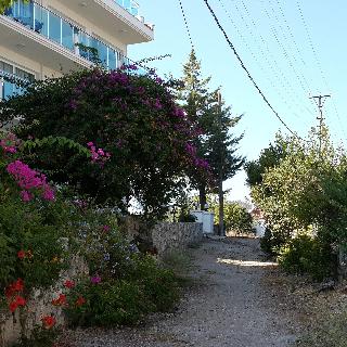 Sovalye Hotel otel fotoğrafı