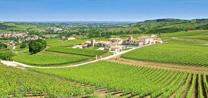 Borgo Conde - Genel