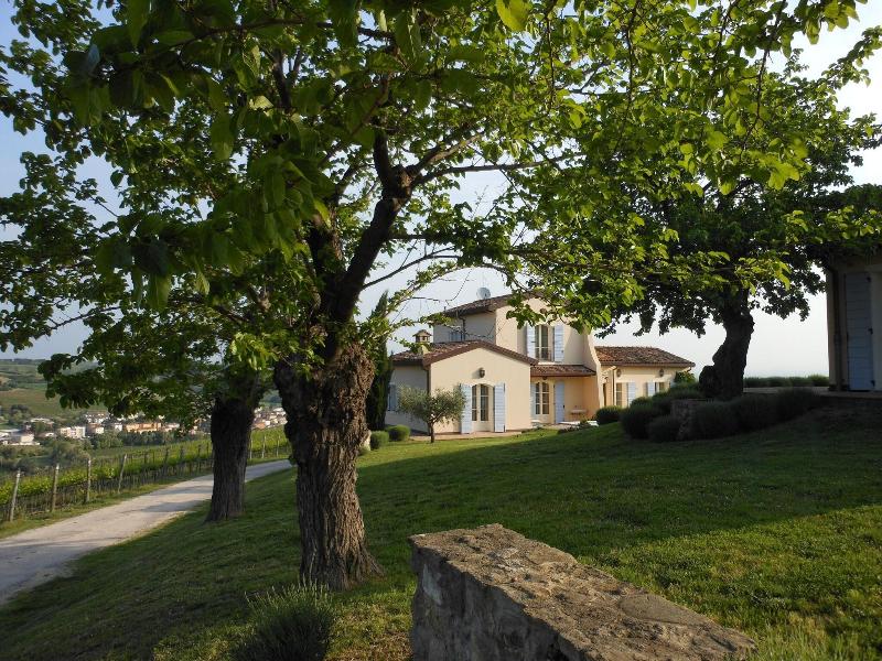 Borgo Conde - Genel