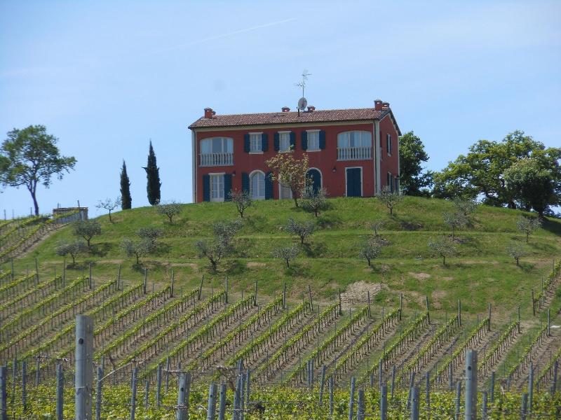 Borgo Conde - Genel