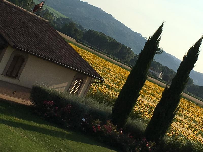 Agriturismo Le Rondini Di Francesco Di Assisi - Oda