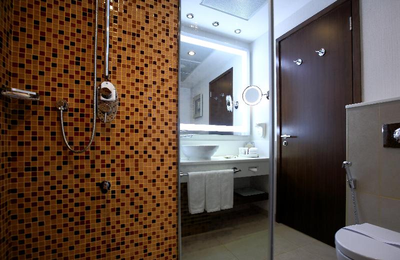 Radisson Blu Hotel and Convention Center - Oda