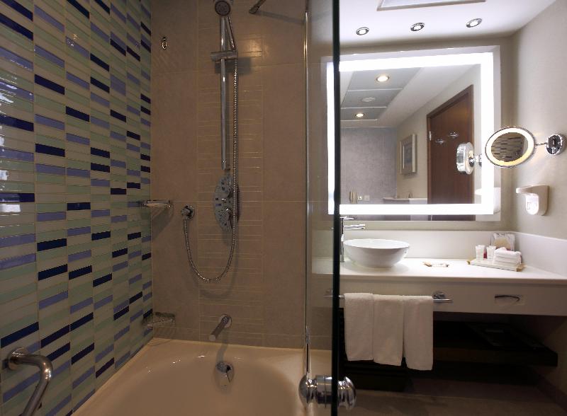 Radisson Blu Hotel and Convention Center - Oda