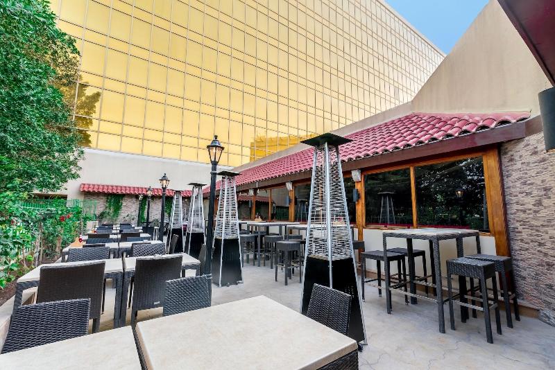Radisson Blu Hotel Doha - Teras