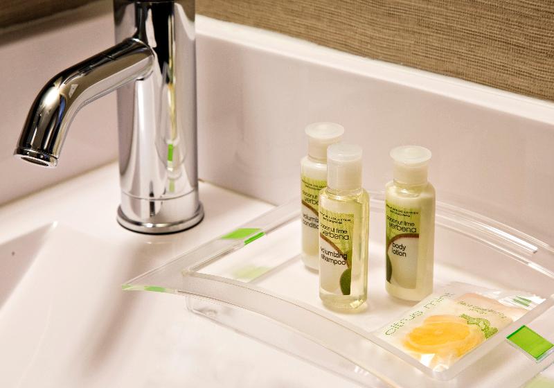 Holiday Inn Manhattan Financial District - Oda