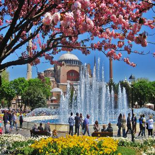 Vizyon City Hotel fotoÄŸrafÄ±