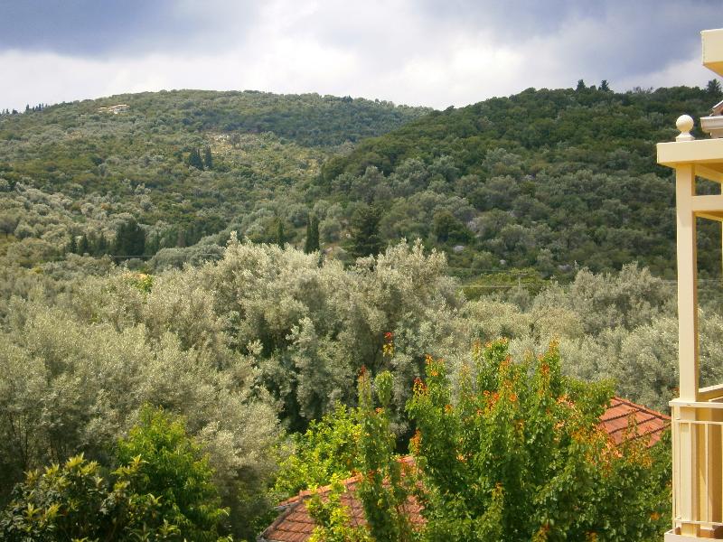 Thomais Boutique Hotel - Genel