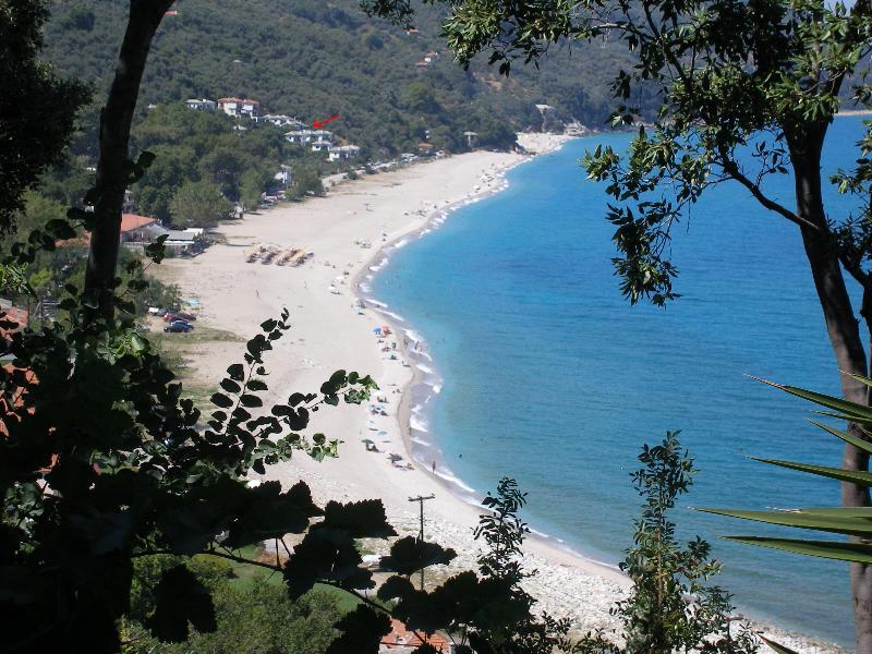 Flamingo Hotel Pelion - Genel