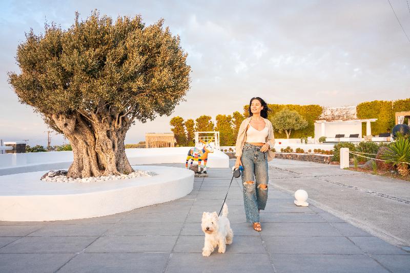 Oia Sunset Villas - Genel