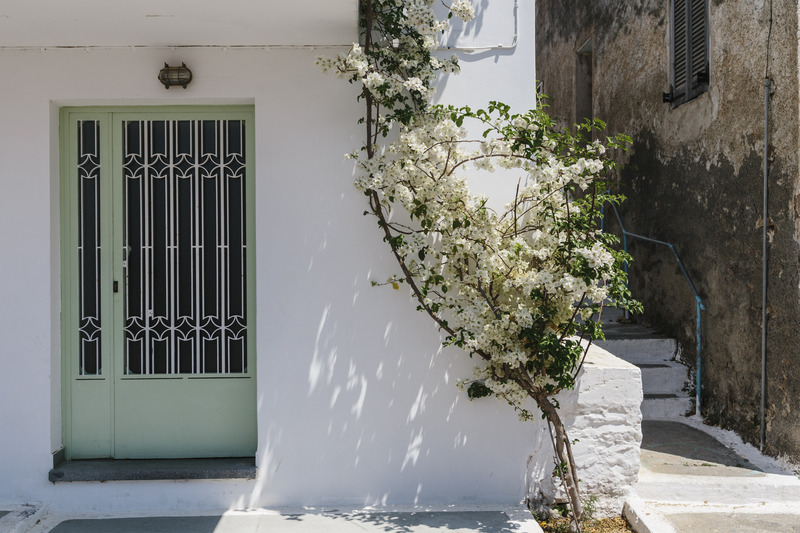 Dimitra Boutique Hotel - Genel