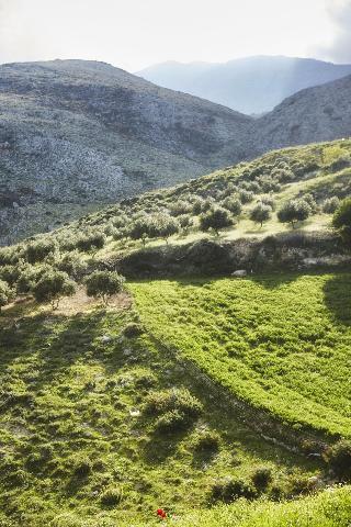 Earino fotoÄŸrafÄ±