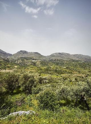 Earino fotoÄŸrafÄ±