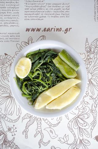 Earino fotoÄŸrafÄ±