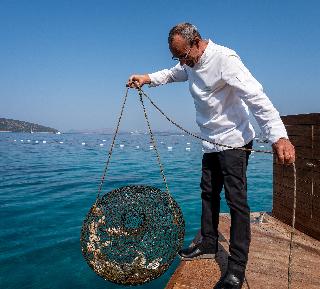Casa Nonna Bodrum fotoÄŸrafÄ±